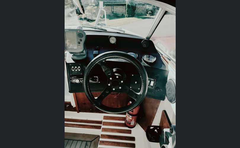 Flipper Flash 600 dc + traileri-kuva-4